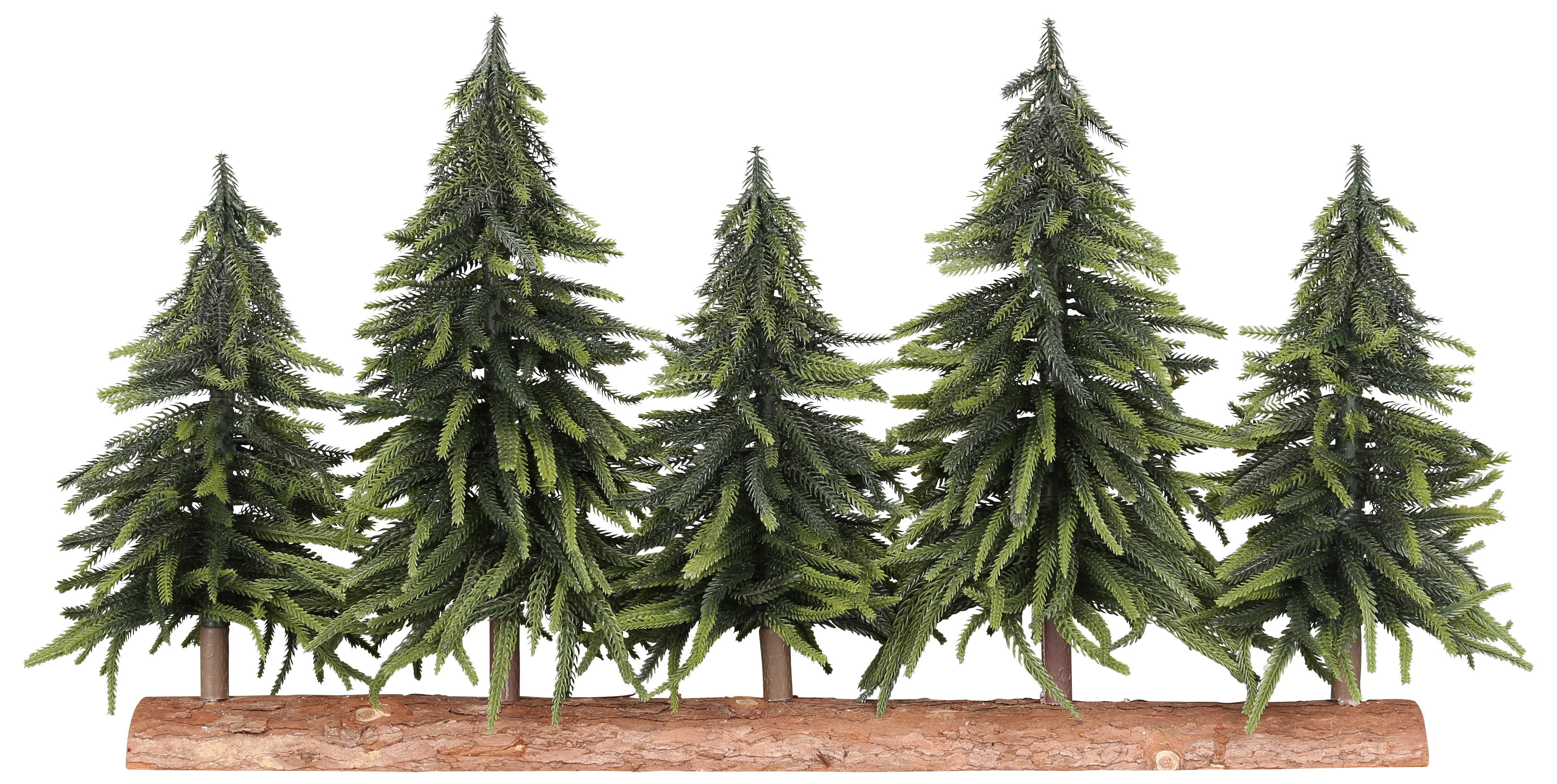 DULTON ダルトン Forest 5 line M/Evergreen forest