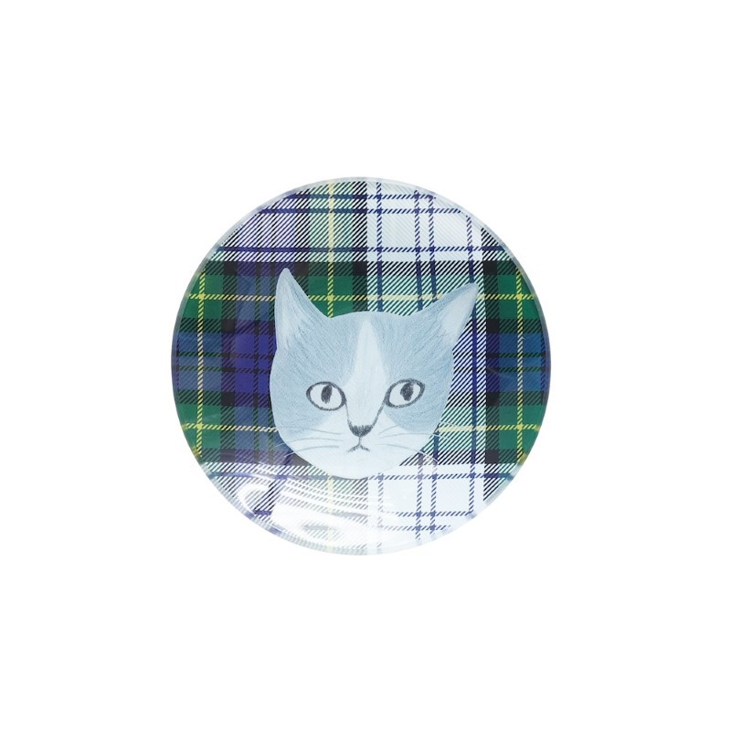 松尾ミユキ Glass plate 12/Ruru