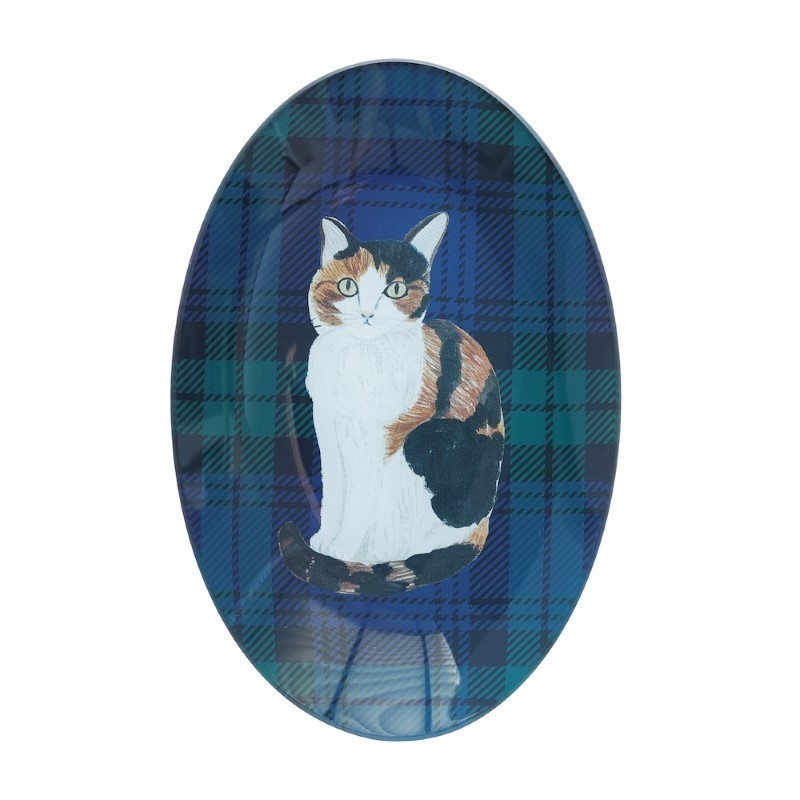 松尾ミユキ Glass Oval plate/Tabby
