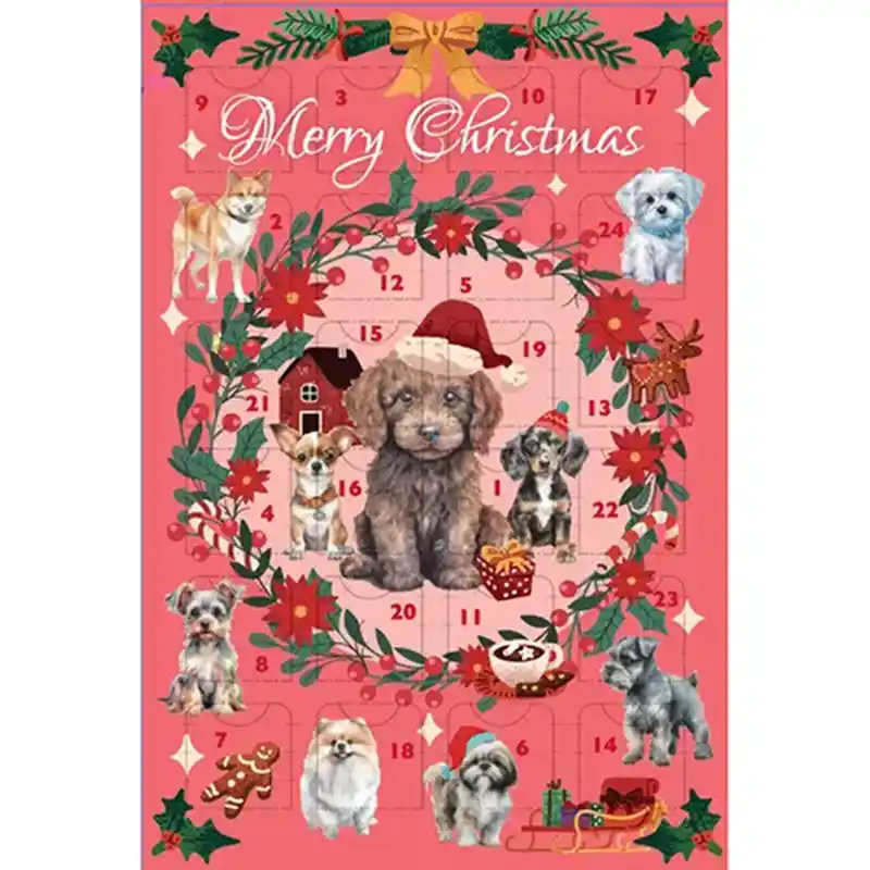 フィカー アドベントA5(チョコ風味菓子入り) / ドッグ