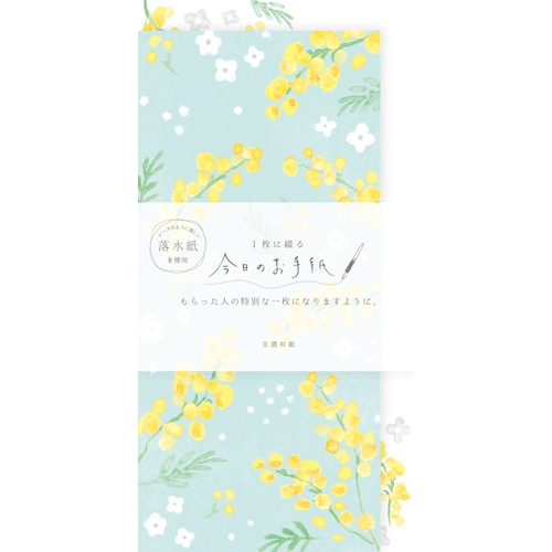 今日のお手紙 ミモザと白い花