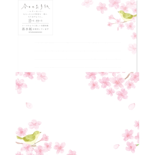 今日のお手紙 レターセット サクラとウグイス