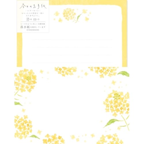 今日のお手紙レターセット 菜の花