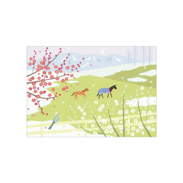 Mimo Hirai ポストカード 5枚組 早春 梅便り/WM-0641