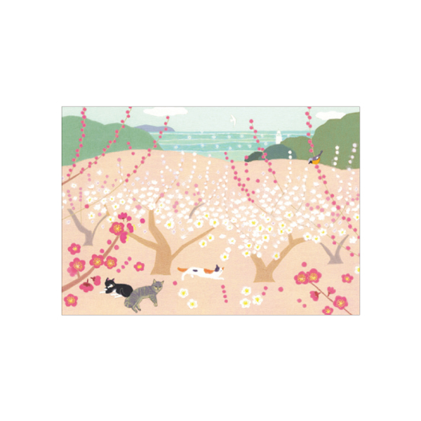 Mimo Hirai ポストカード 5枚組 早春 梅便り/WM-0642