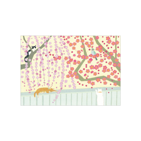 Mimo Hirai ポストカード 5枚組 早春 梅便り/WM-0644