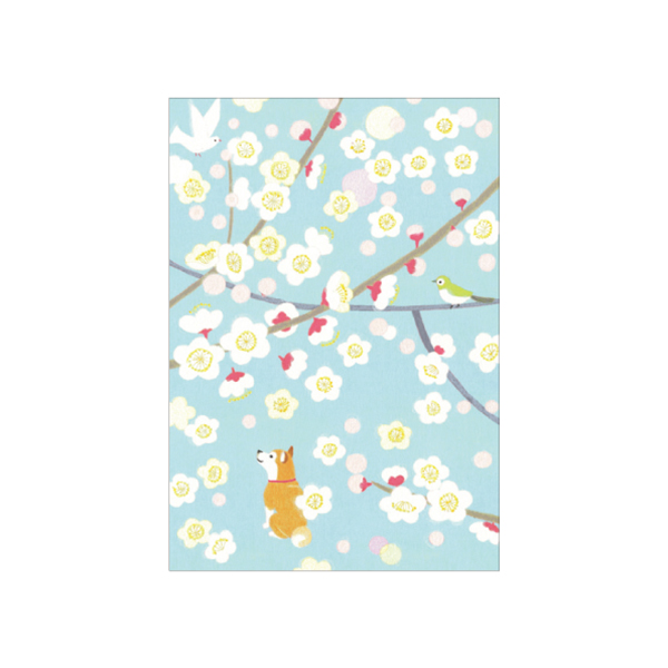 Mimo Hirai ポストカード 5枚組 早春 梅便り/WM-0646