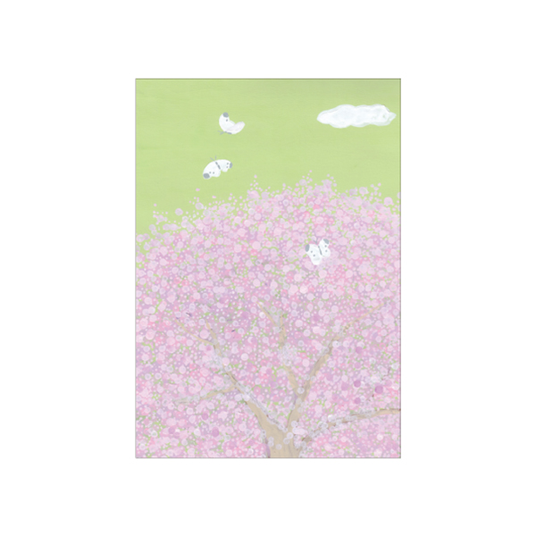 Mimo Hirai ポストカード 5枚組 WP-0655