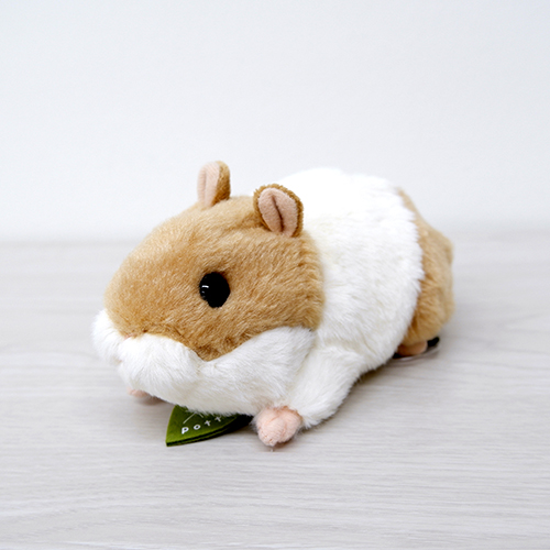 potte ハムスター