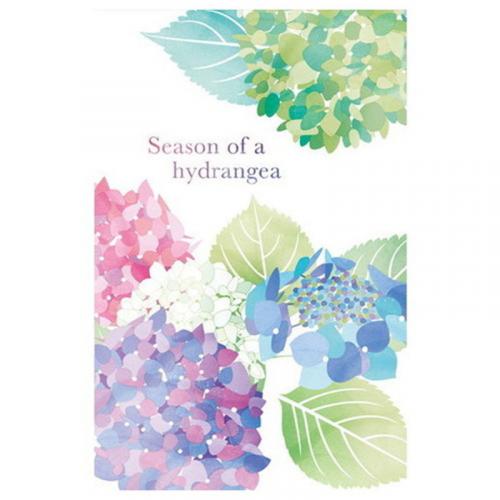 はがき箋  Season of a hydrangea