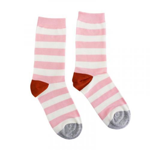 caroline gardner Socks / PK ストライプ
